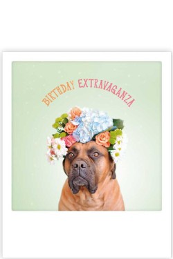 ΚΑΡΤΑ PICKMOTION ΜΟΝΗ BIRTHDAY EXTRAVAGANZA