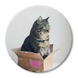 ΜΑΓΝΗΤΗΣ PICKMOTION LARGE SURPRISE CAT