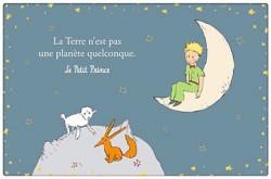 ΣΟΥΜΕΝ 43*29cm.KIUB EDITION LE PETIT PRINCE-ΑΛΕΠΟΥ ΚΑΙ ΠΡΟΒΑΤΟ