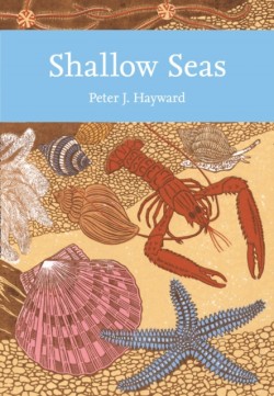 Shallow Seas