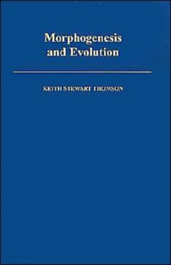 Morphogenesis and Evolution