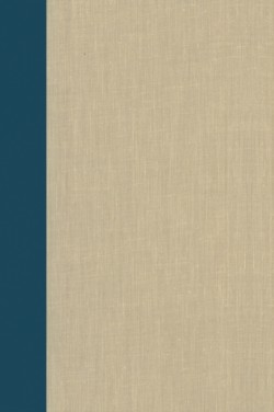 Terrorism: Commentary on Security Documents