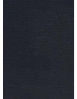 A Patristic Greek Lexicon