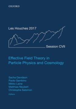 Effective Field Theory in Particle Physics and Cosmology