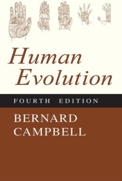 Human Evolution