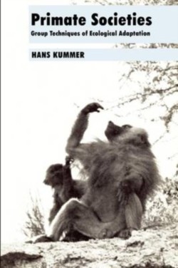 Primate Societies