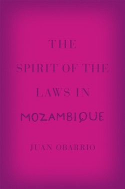 The Spirit of the Laws in Mozambique