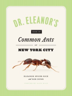 Dr. Eleanors Book of Common Ants of New York City