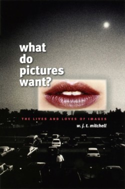 What Do Pictures Want?