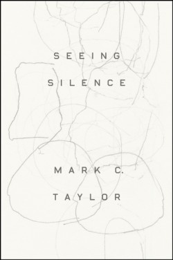 Seeing Silence