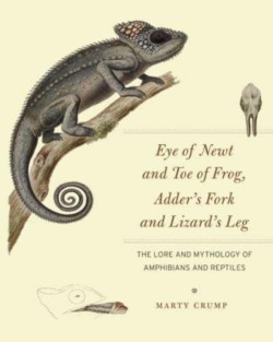 Eye of Newt and Toe of Frog, Adders Fork and Lizards Leg