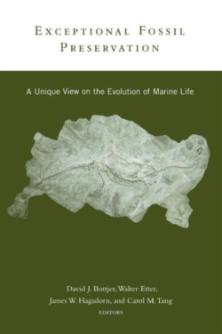 The Critical Moments and Perspectives in Earth History and Paleobiology