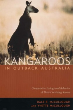 Kangaroos in Outback Australia