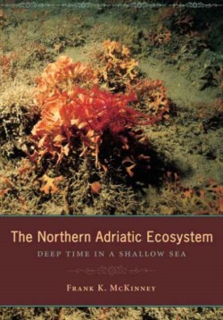 The Northern Adriatic Ecosystem