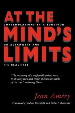 At the Minds Limits