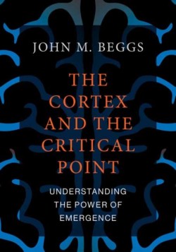The Cortex and the Critical Point