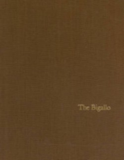 The Bigallo