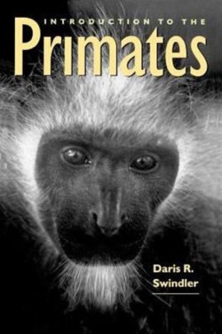 Introduction to the Primates