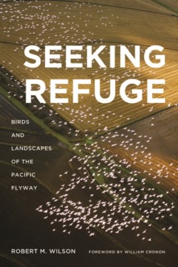 Seeking Refuge