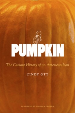 Pumpkin