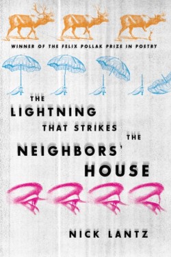 The LIGHTNING THAT STRIKES the NEIGHBORS HOUSE