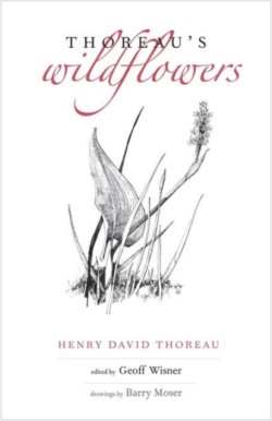 Thoreaus Wildflowers