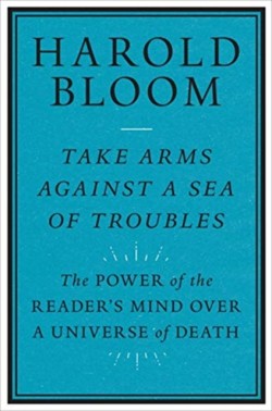 Take Arms Against a Sea of Troubles