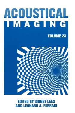 Acoustical Imaging