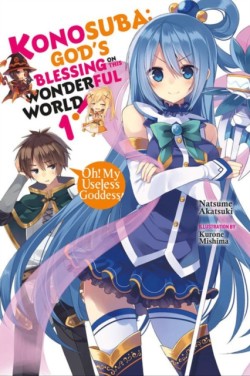Konosuba: Gods Blessing on This Wonderful World!, Vol. 1 (Novel)