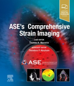 ASEs Comprehensive Strain Imaging