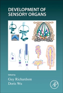 Development of Sensory Organs
