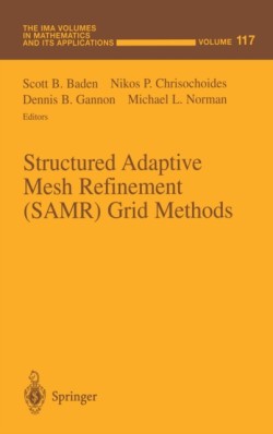 Structured Adaptive Mesh Refinement (SAMR) Grid Methods