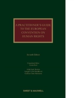 A Practitioners Guide to the European Convention on Human Rights