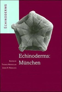 Echinoderms: Munchen