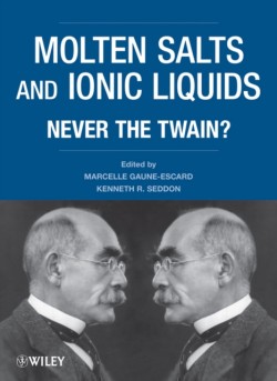 Molten Salts and Ionic Liquids