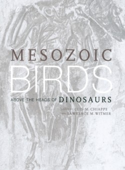 Mesozoic Birds