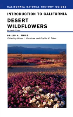 Introduction to California Desert Wildflowers