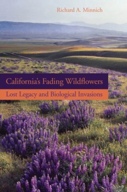California’s Fading Wildflowers