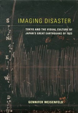 Imaging Disaster