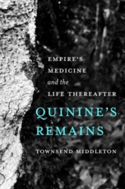 Quinines Remains