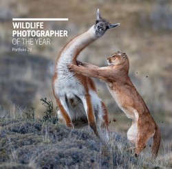 Wildlife Photographer of the Year