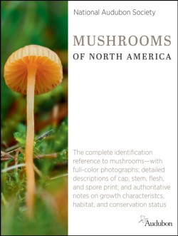 National Audubon Society Mushrooms of North America