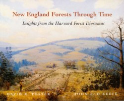 New England Forests Through Time