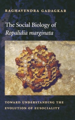The Social Biology of Ropalidia marginata