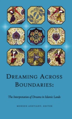 Dreaming Across Boundaries