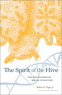 The Spirit of the Hive