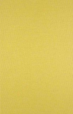 Continuity in History and Other Essays