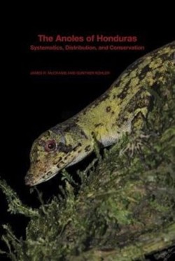 The Anoles of Honduras
