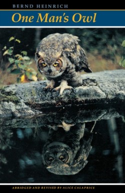 One Mans Owl