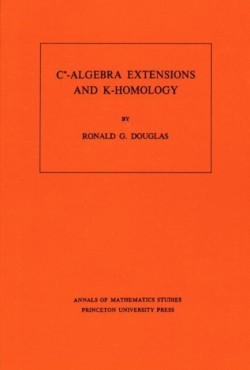 C*-Algebra Extensions and K-Homology